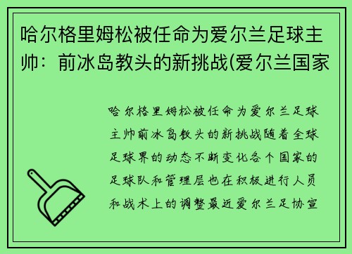 哈尔格里姆松被任命为爱尔兰足球主帅：前冰岛教头的新挑战(爱尔兰国家队主帅)